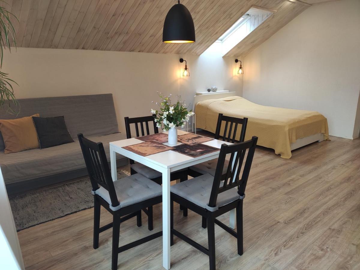 Family House Otel Druskininkai Dış mekan fotoğraf