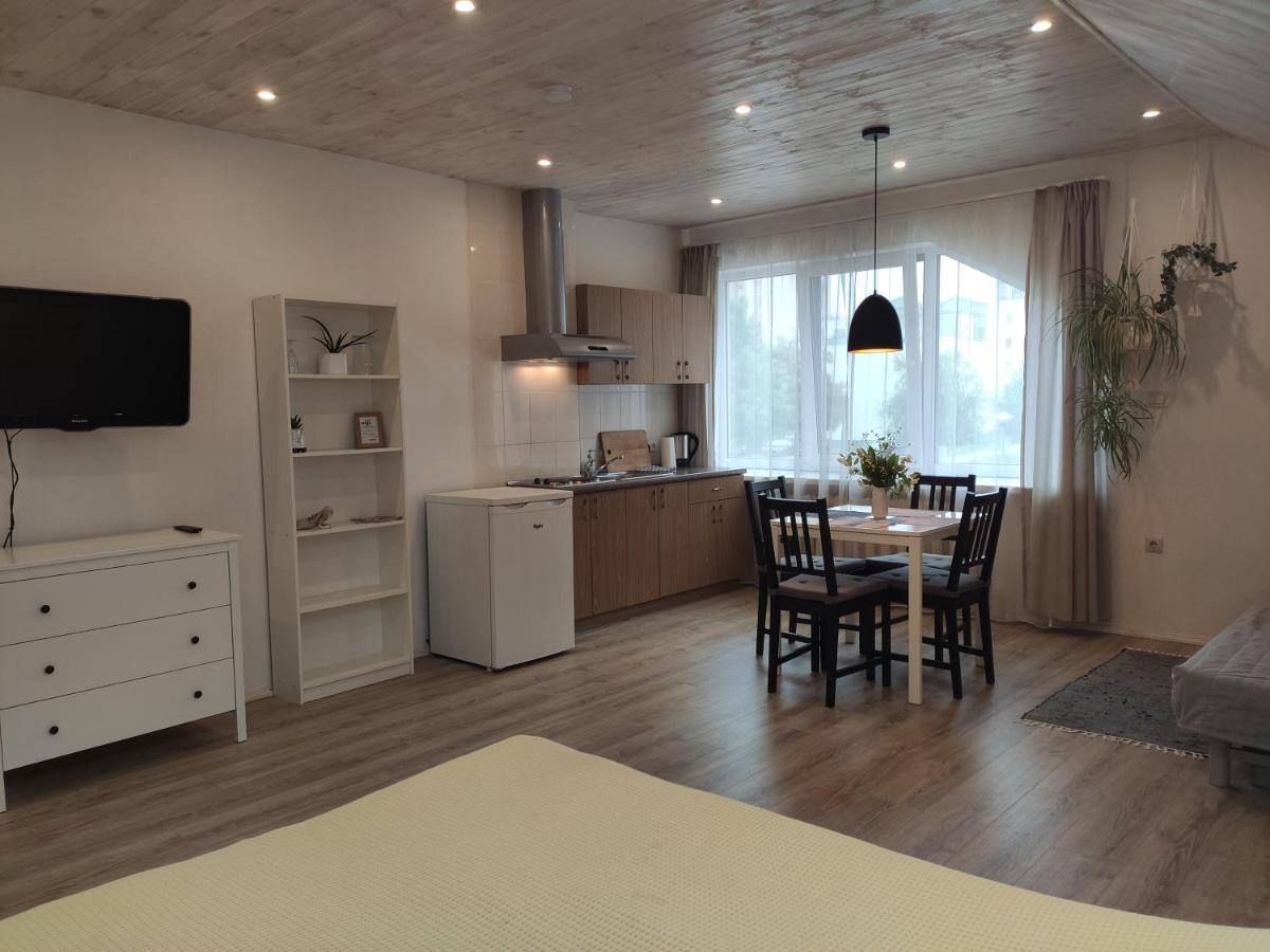 Family House Otel Druskininkai Dış mekan fotoğraf